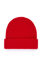 Load image into Gallery viewer, Beanie with Ted Logo
