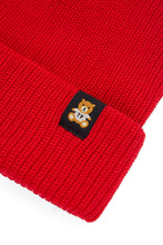 Load image into Gallery viewer, Beanie with Ted Logo
