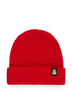 Load image into Gallery viewer, Beanie with Ted Logo
