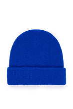 Load image into Gallery viewer, Beanie with Ted Logo
