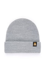 Load image into Gallery viewer, Beanie with Ted Logo
