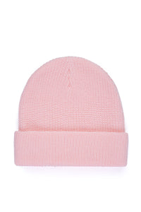 Beanie with Ted Logo