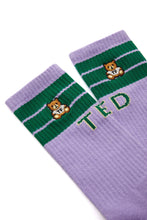 Load image into Gallery viewer, Striped Ted Socks
